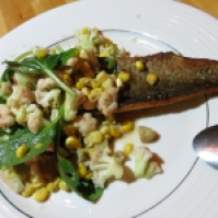 Rainbow trout in anchovy sauce with cauliflower and corn, photo by Christine Willmsen